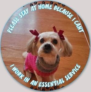 Meet your Posher, Mary